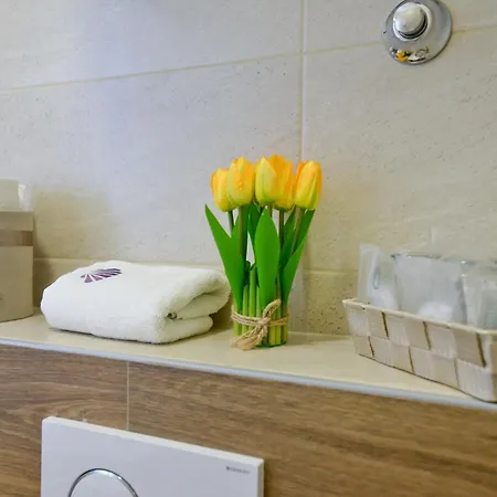 Zoilo Self Check-in ザダル