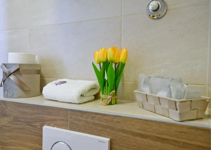 Zoilo Self Check-in Zadar